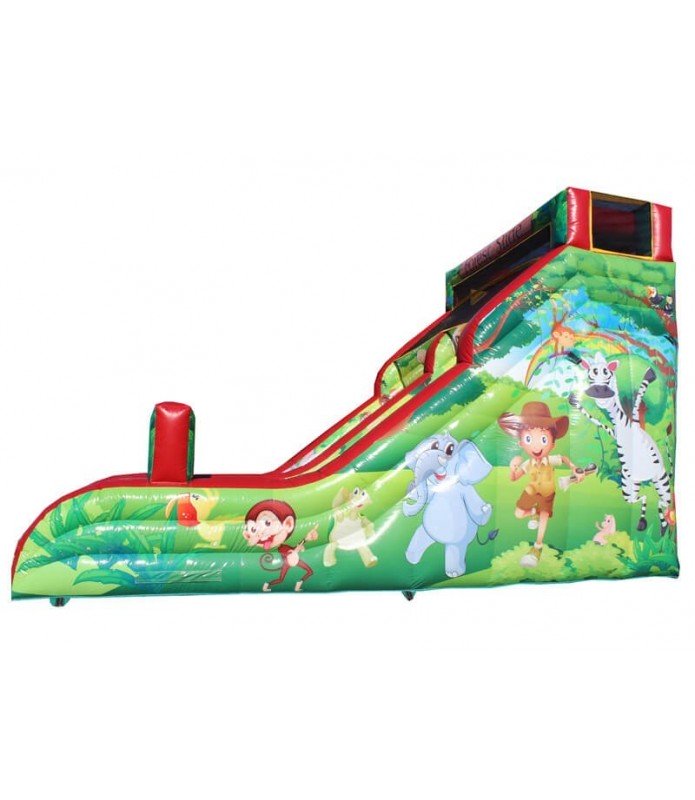 Enchanted Forest Slide