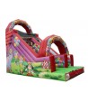 Circus Slide