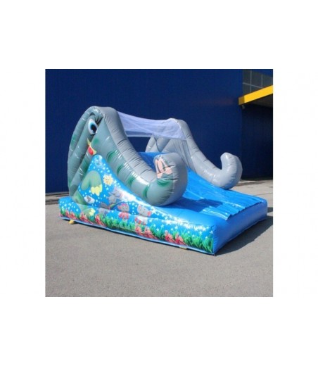 Elephant Slide