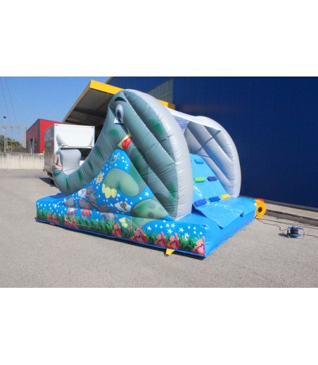 Elephant Slide